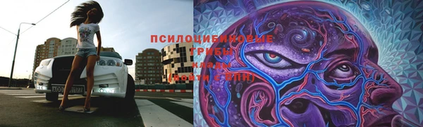 прущая мука Верея