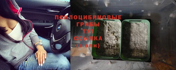 ешки Верхний Тагил