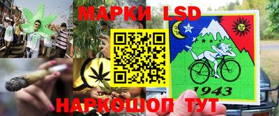 прущие крисы Будённовск