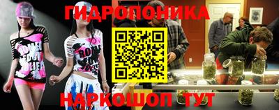 крисы Волгодонск