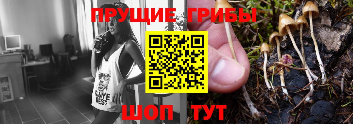 Каннабис Гусев