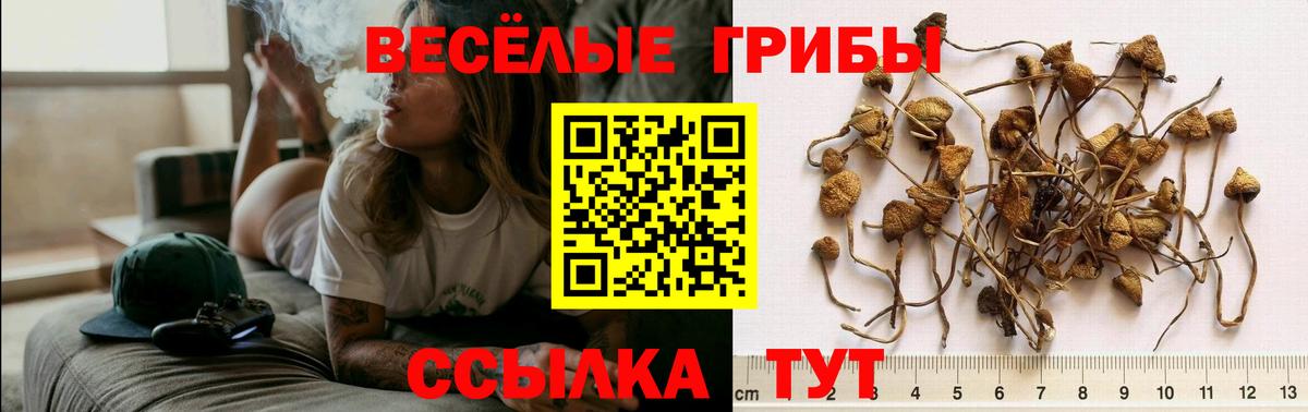 Псилоцибиновые грибы ЛСД Гусев